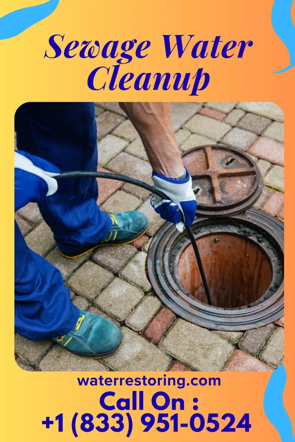 Sewage Water Cleanup in North Utica, IL