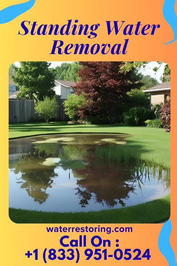 Standing Water Removal in North Utica, IL